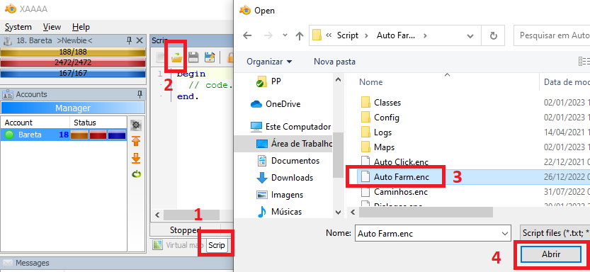 Abra o script auto farm.png